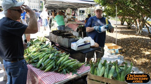 Orlando's Farmers Market at Lake Eola: Corner on the cob. Orlando's Farmers Market at Lake Eola: Corner on the cob.