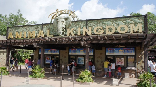 Disney's Animal Kingdom, the resort's newest theme park, is often left off first time visitor's to do list. Disney's Animal Kingdom, the resort's newest theme park, is often left off first time visitor's to do list.