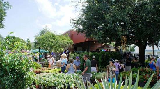 Winter Park Farmers Market.