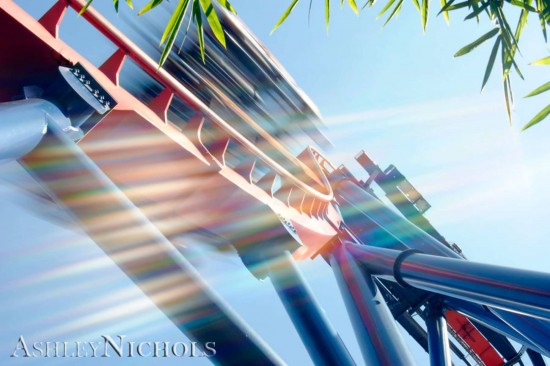 Photo Guide to Busch Gardens Tampa: SkeiKra. Photo Guide to Busch Gardens Tampa: SkeiKra.