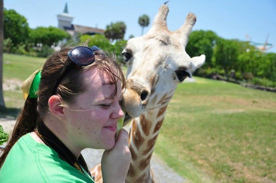 Photo Guide to Busch Gardens Tampa: Unique experiences. Photo Guide to Busch Gardens Tampa: Unique experiences.