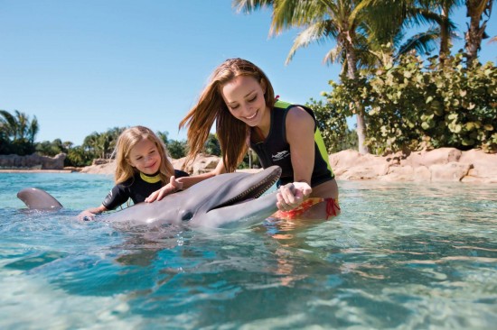 Discovery Cove at SeaWorld Orlando. Discovery Cove at SeaWorld Orlando.