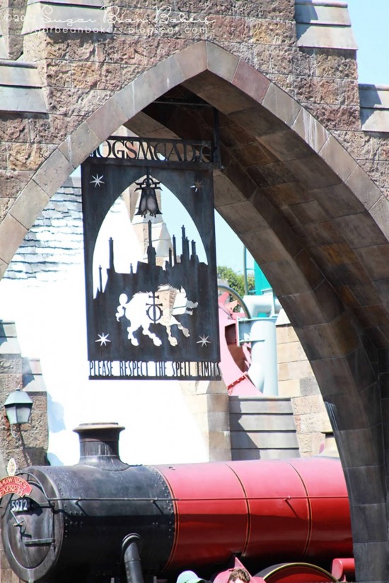 Hogsmeade Village inside the Wizarding World of Harry Potter.