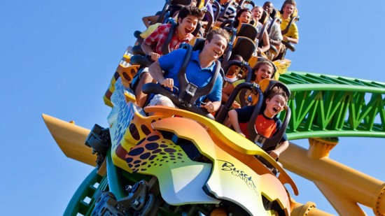 Cheetah Hunt at Busch Gardens.