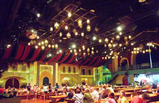 Busch Gardens Tampa trip report - November 2013.