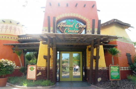 Busch Gardens Tampa trip report - November 2013.
