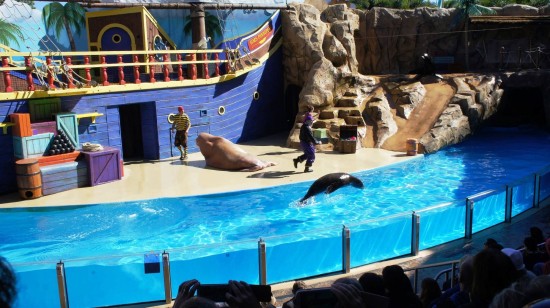 SeaWorld Orlando - January 2014.