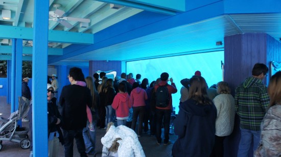 SeaWorld Orlando - January 2014.