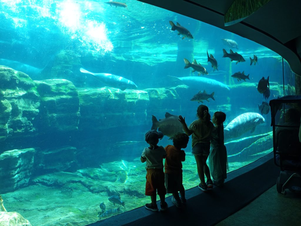 Underwater manatee viewing area at SeaWorld Orlando